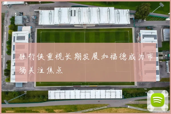 独行侠重视长期发展加福德成为市场关注焦点